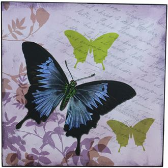 Obraz 38x38 - Motýľ, 355117