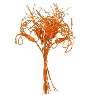 Kvietok pedig, 10ks-40cm oranžová 381570-04