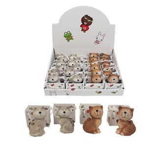 Mačičky box 24 ks X2339