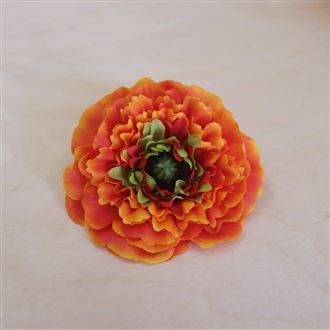 Kvet cínie oranžová, 12 ks 371195-04