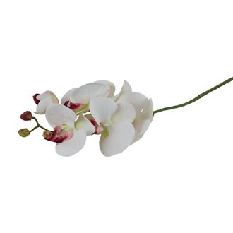Umelá orchidea X4920-02