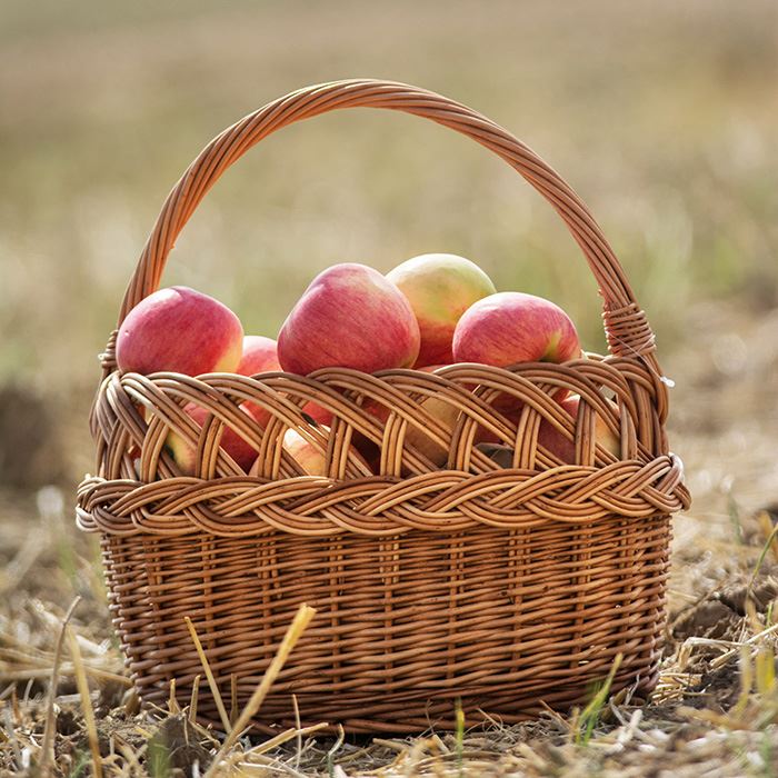 Prútený košík 01074