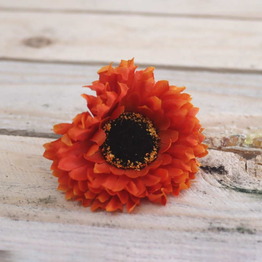 Kvet astra oranžová, 10ks 371176-04