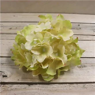 Kvet hortenzie svetlo zelená, 6 ks 371194-15
