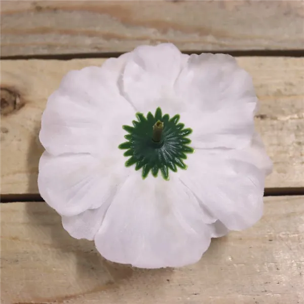 Kvet cínie biela, 12 ks 371195-01