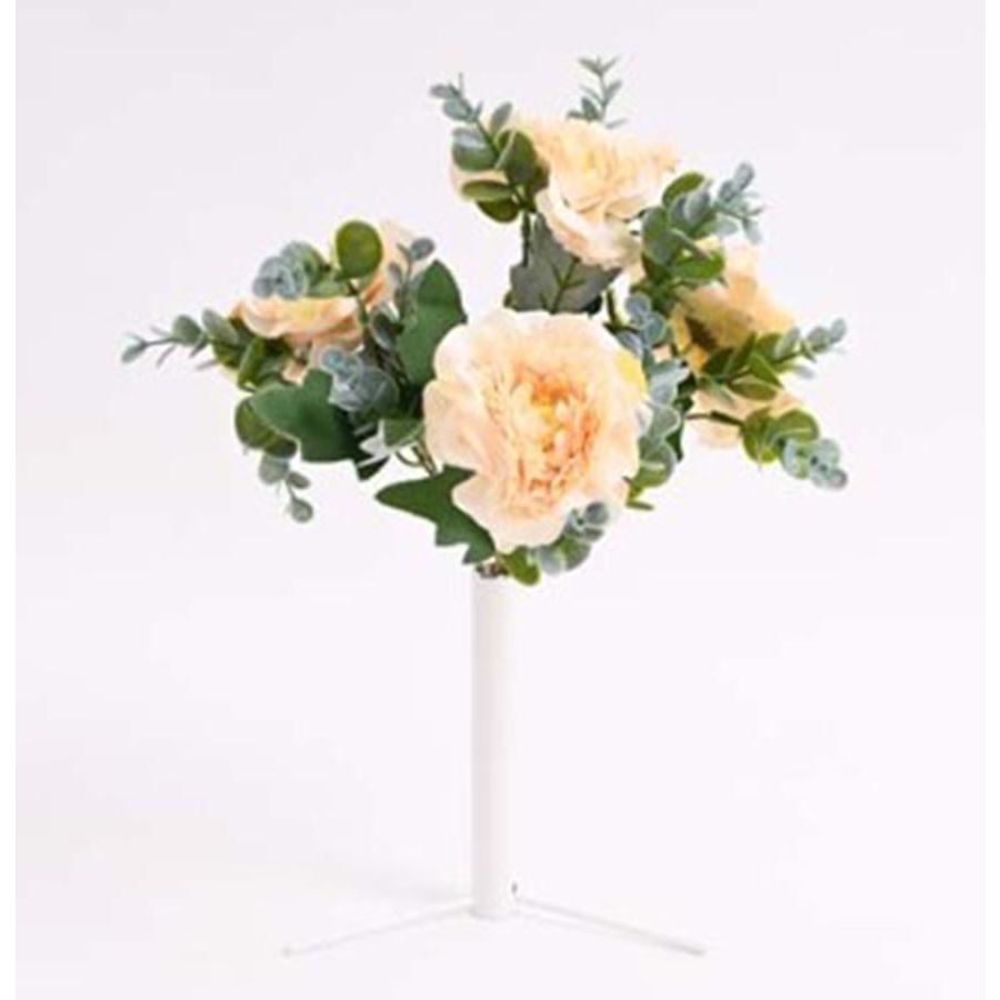 Kytica pivonka, eukalyptus 371416