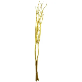 Vetvy Mitsumata 3ks-sv.140cm - žltá 381988-02