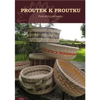 kniha Proutek k proutku II. 400000000038