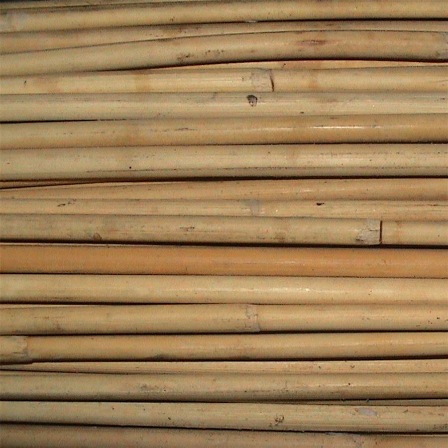 rákos SEGA pr.8-10mm AA 5208000