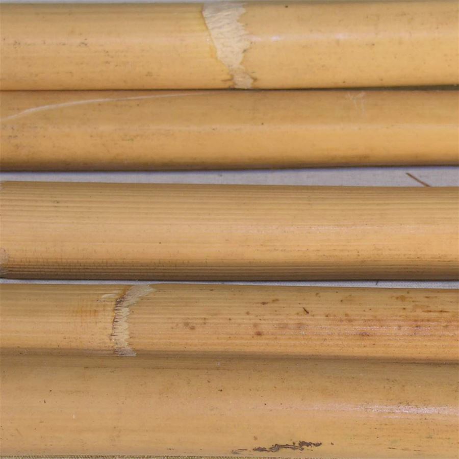 Rákosie MANILA pr.32-34mm AA 5232000