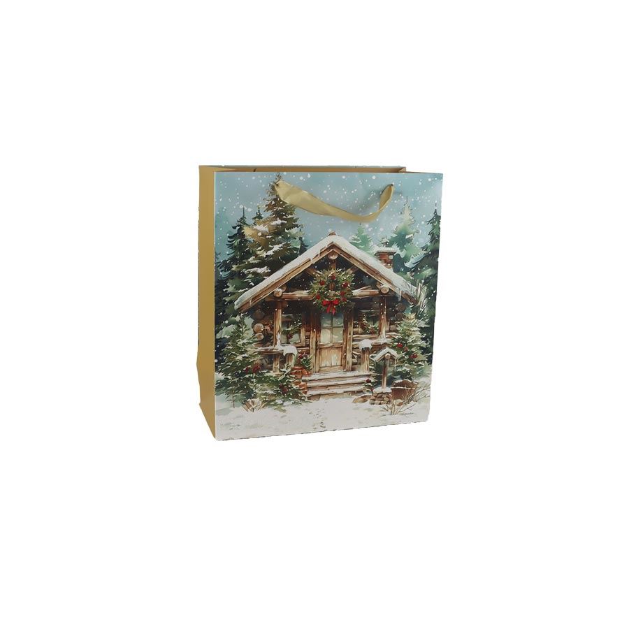 Vianočná darčeková taška A0355/1