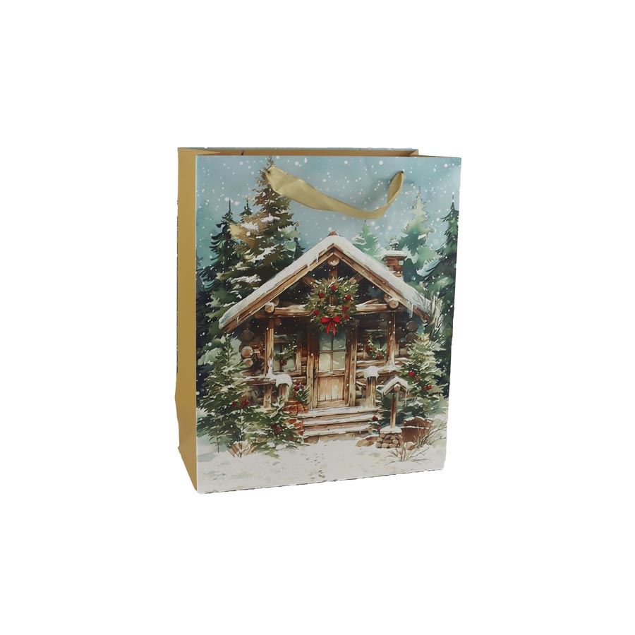 Vianočná darčeková taška A0355/2