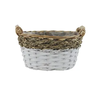Obal na sadenie s plastom P2455/1