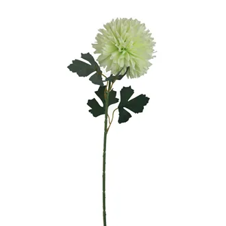 Chryzantéma zelená X5787-15