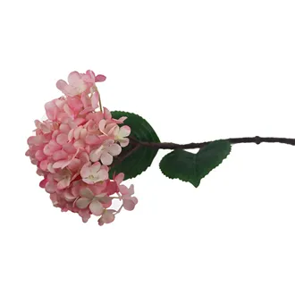 Hortenzia ružová X5788-05