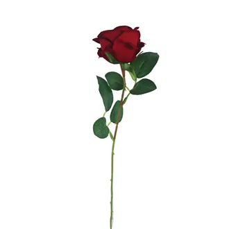 Ruža červená X5791-08