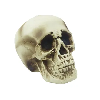 Dekorácia na Halloween lebka X7000