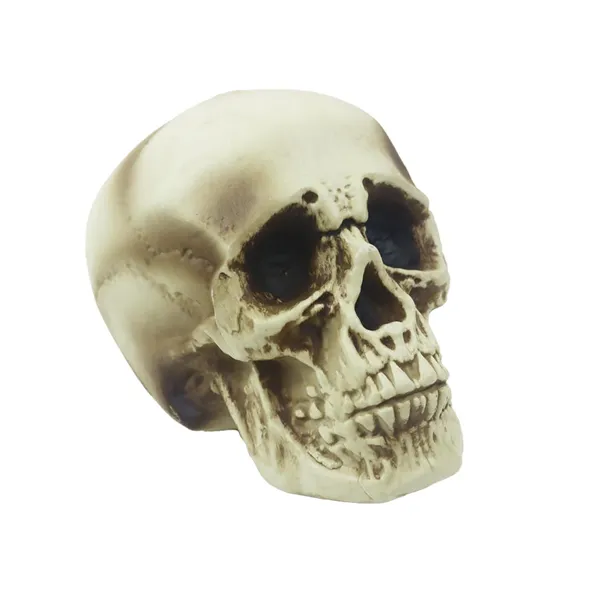 Dekorácia na Halloween lebka X7000