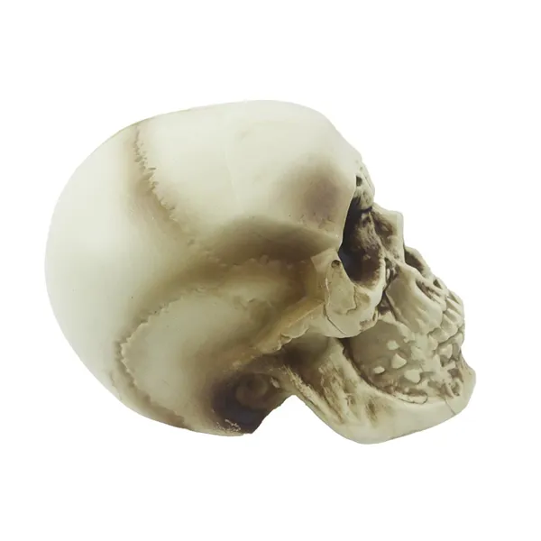 Dekorácia na Halloween lebka X7000