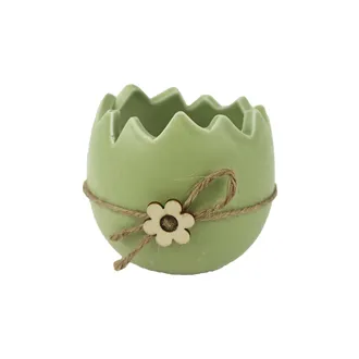 Dekorácia škrupina X7746