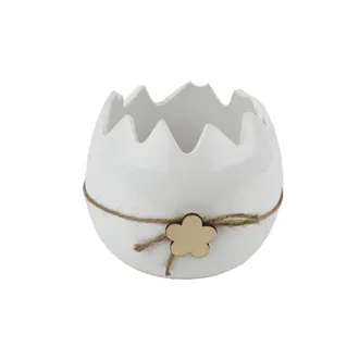 Dekorácia škrupina X7747