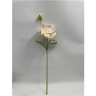 Okrasný mak X7900-33