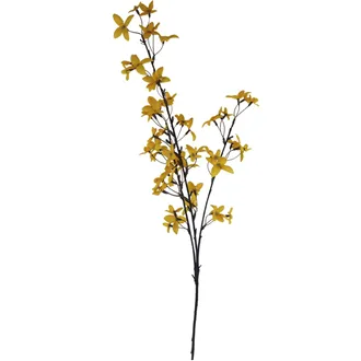 Zlatý dážď X7964