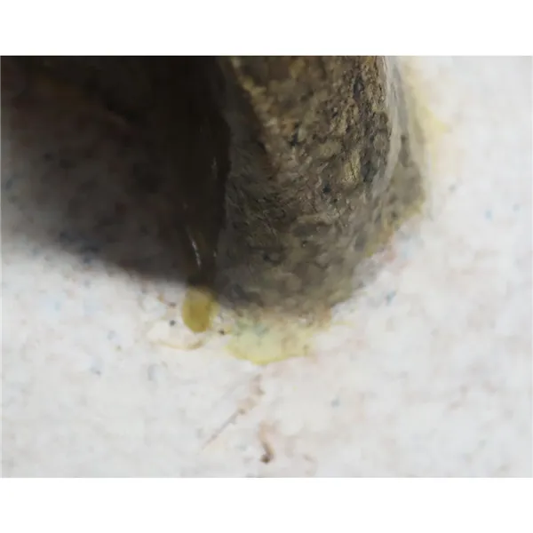 Dekorácia mačka 2. akosť X8108/2B