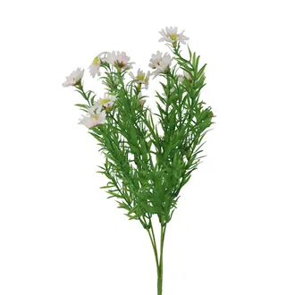 Divá margaréta X8170-05