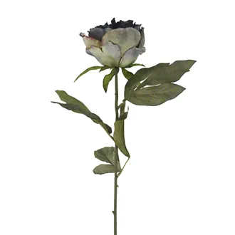 Umelá sušená pivonka X8367-13