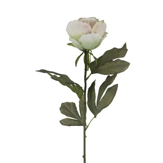 Umelá sušená pivonka X8367-26