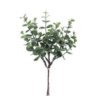 Eukalyptus vetvička X8390