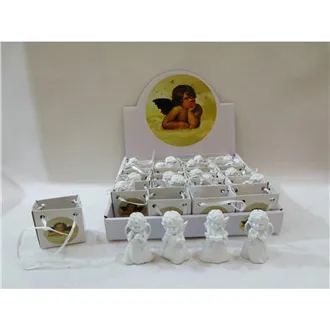 Box anjelikovia 20 ks X8590