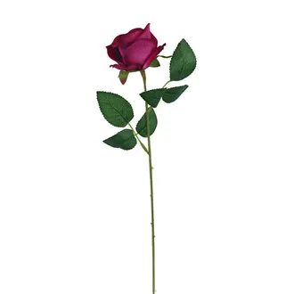 Ruža bordová X5791-09